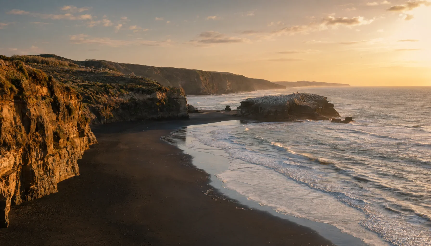 Best Beaches in Auckland