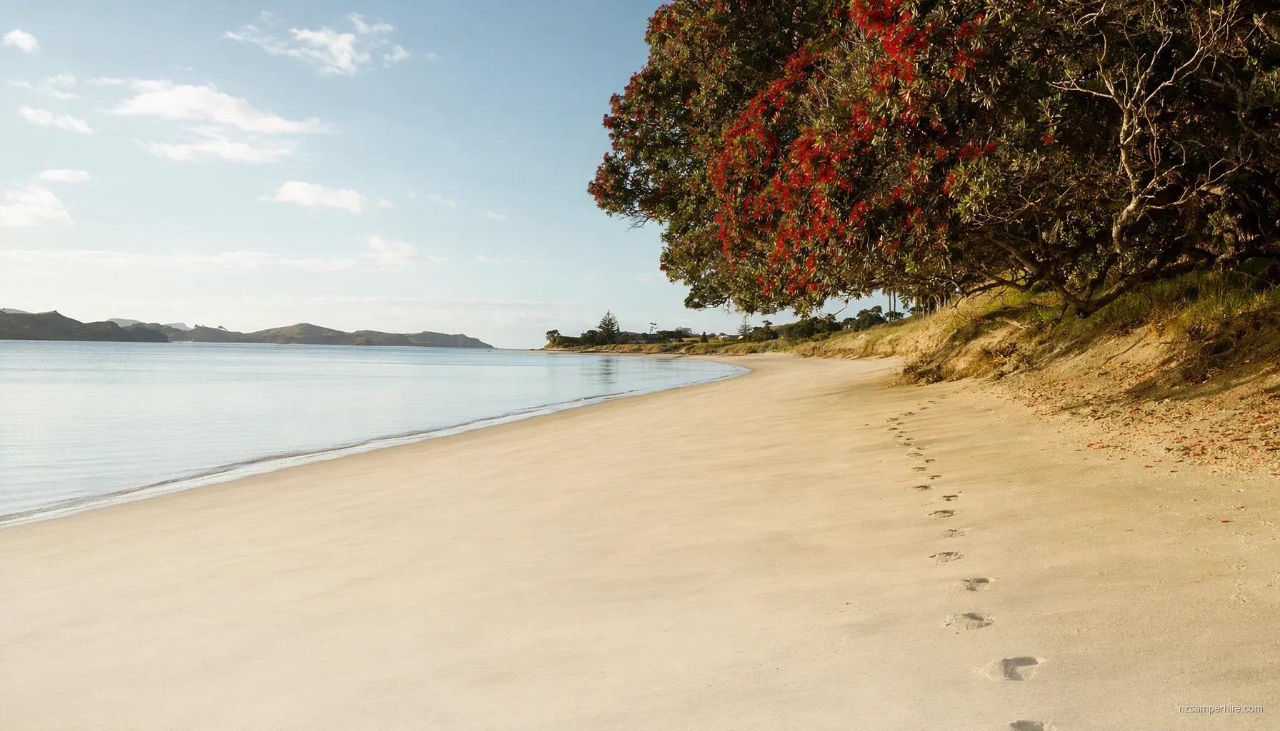Best Beaches in Bay of Islands