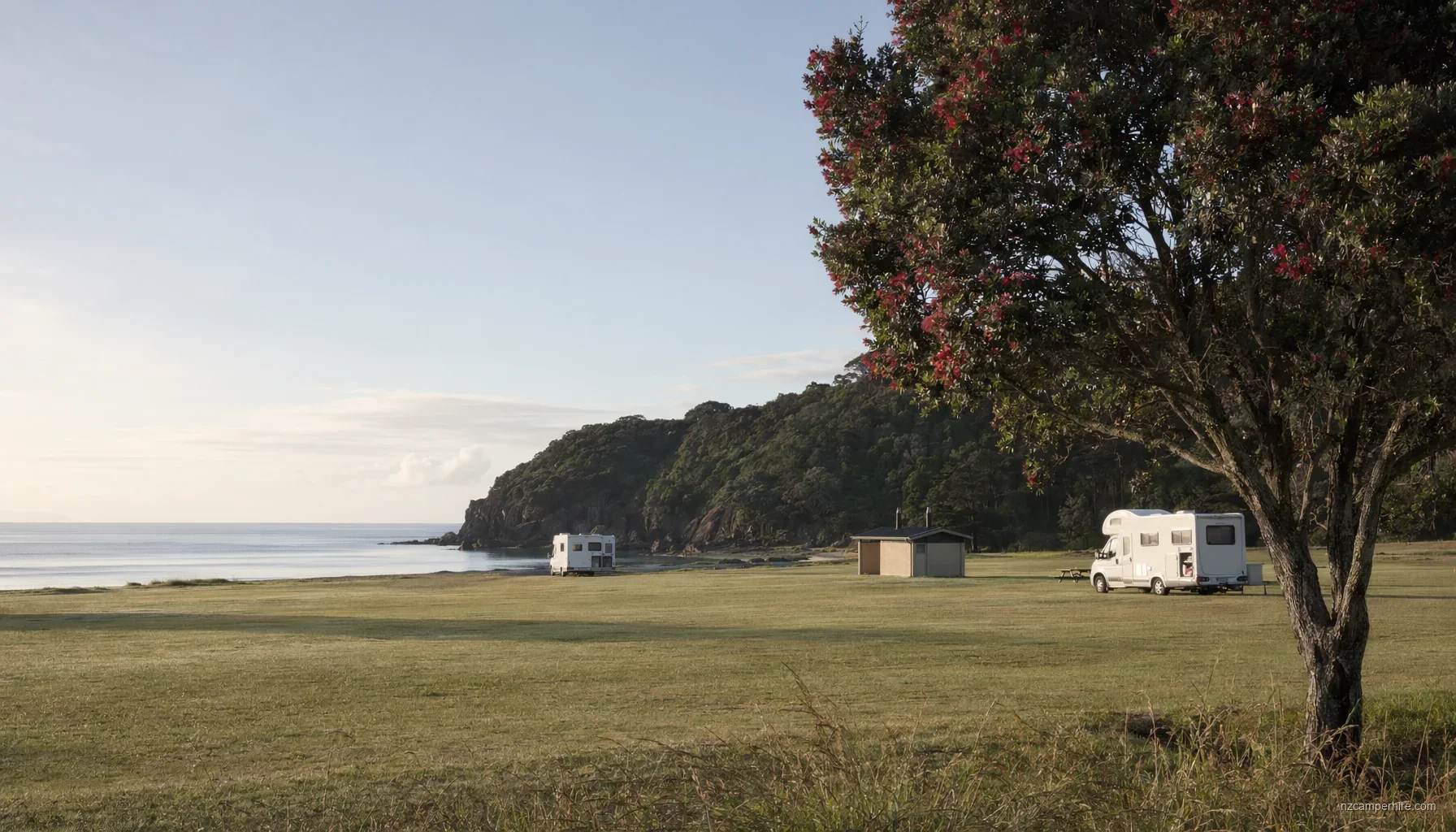 Kennedy Bay (Coromandel) DOC campsite — motorhome guide — DOC campsite