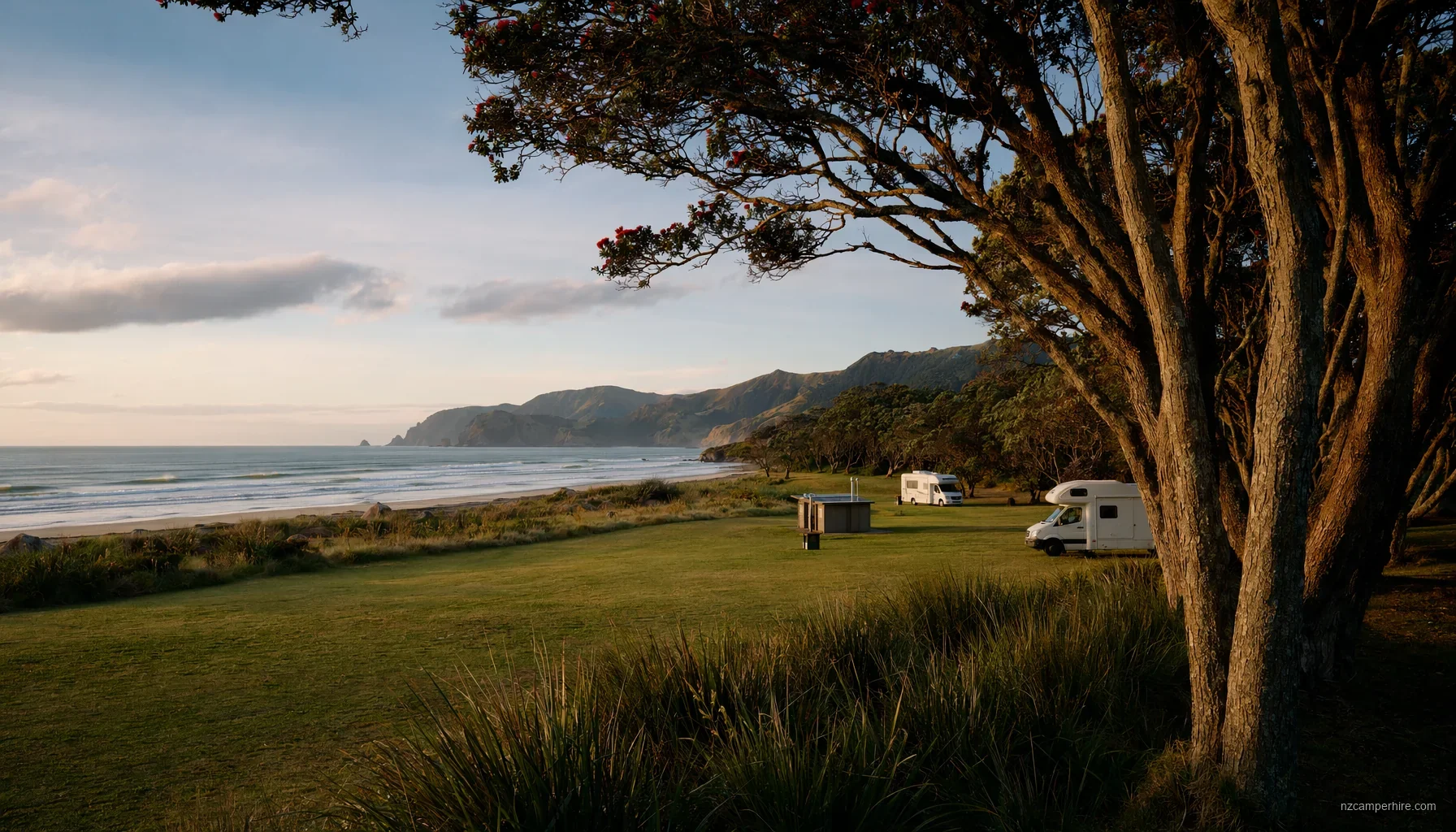 Waikawau Bay (Coromandel) DOC campsite — motorhome guide — DOC campsite