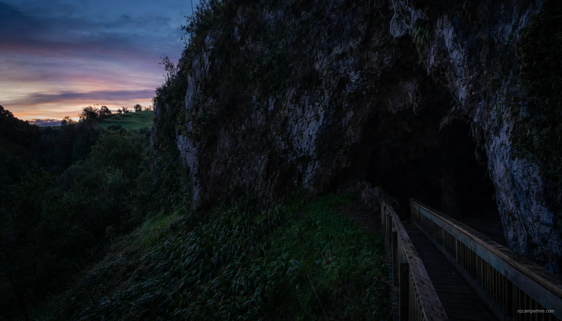 NZ glow-worm caves by motorhome