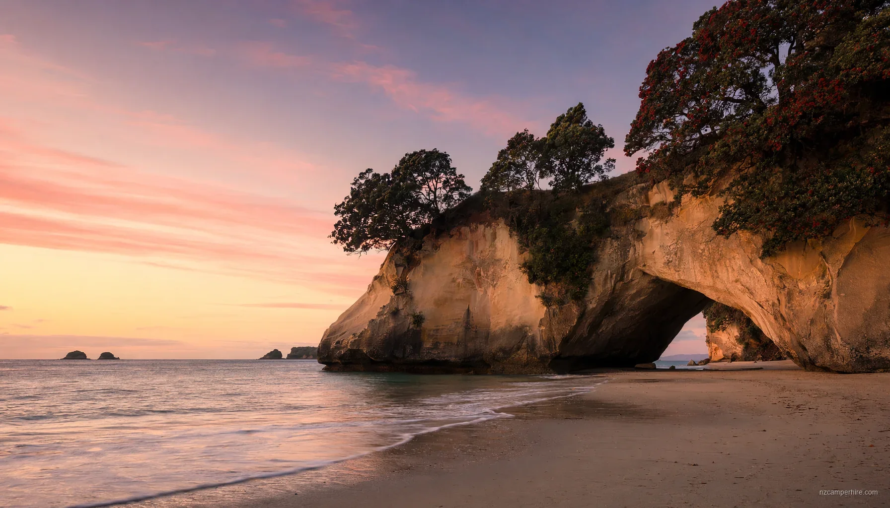 7-day loop from Auckland