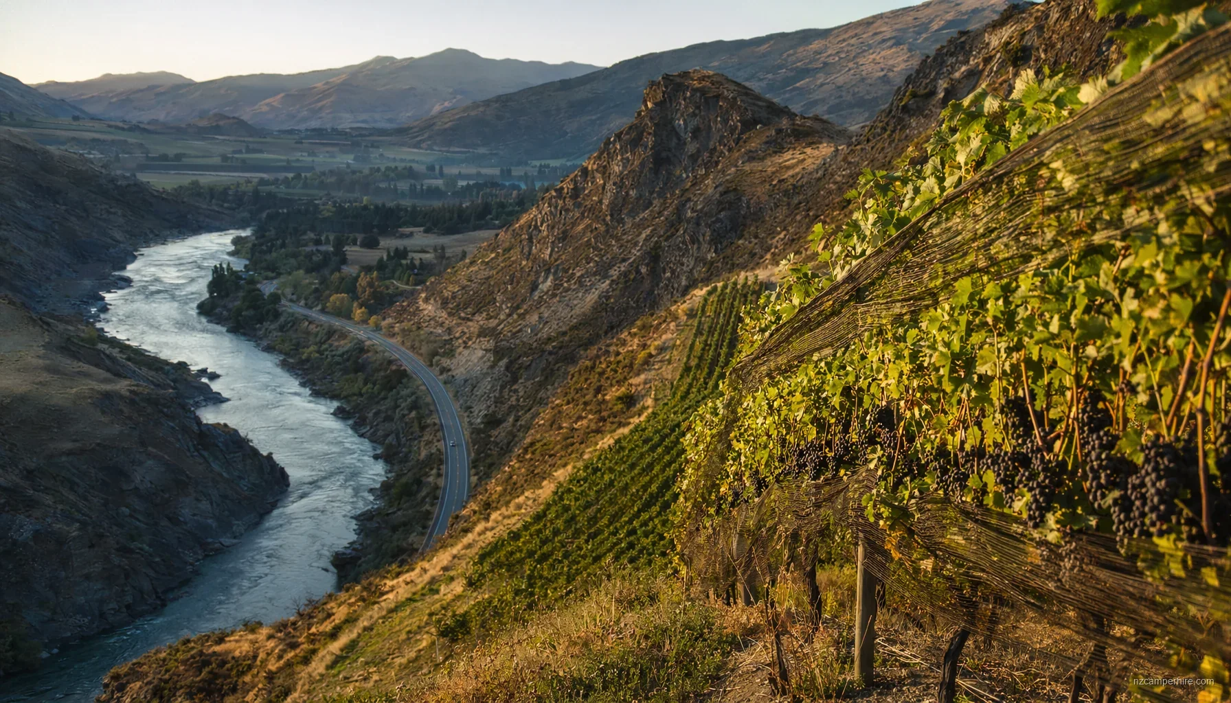 Wineries And Cellar Doors in Queenstown
