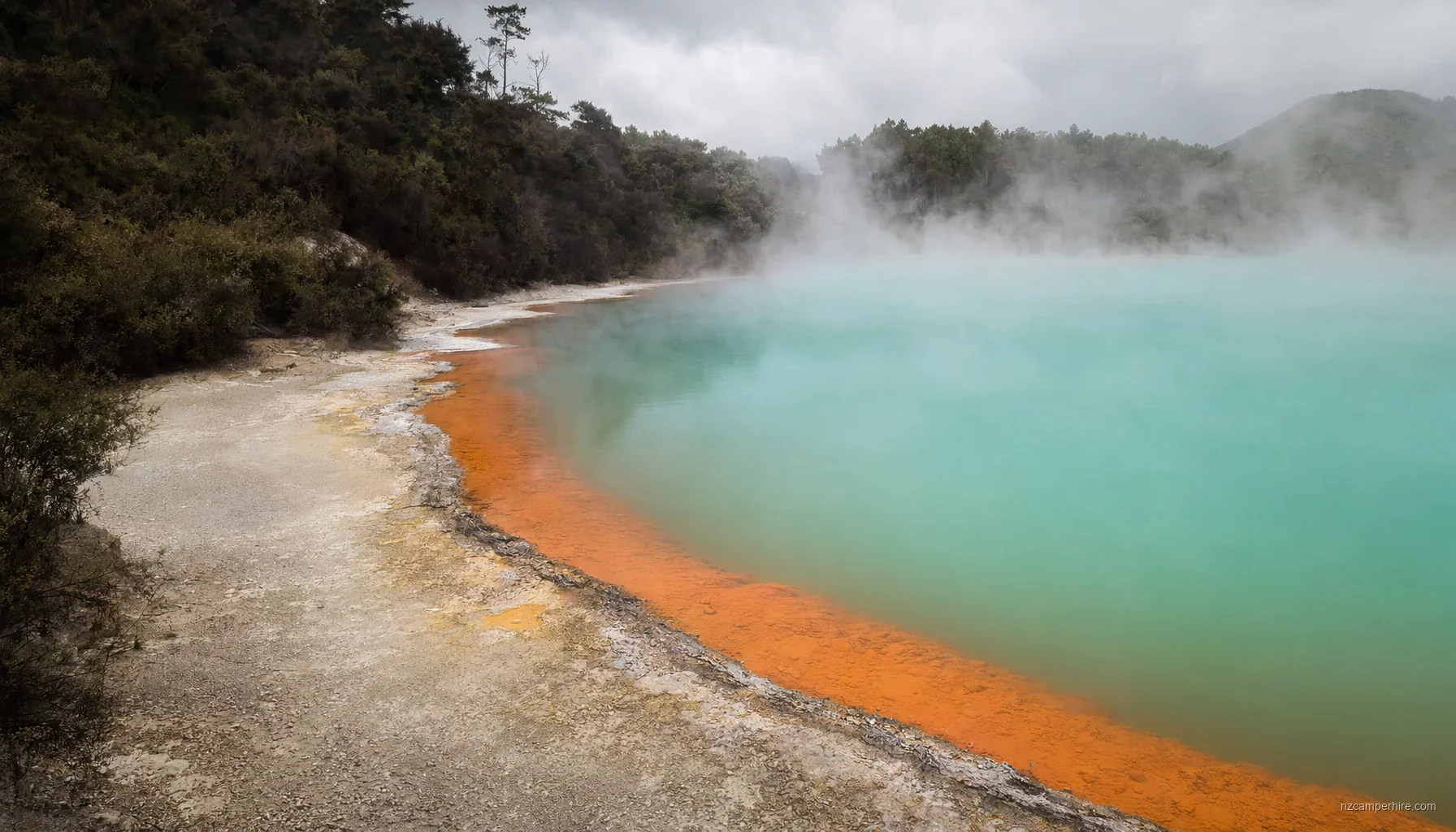 Geothermal Day Out in Rotorua