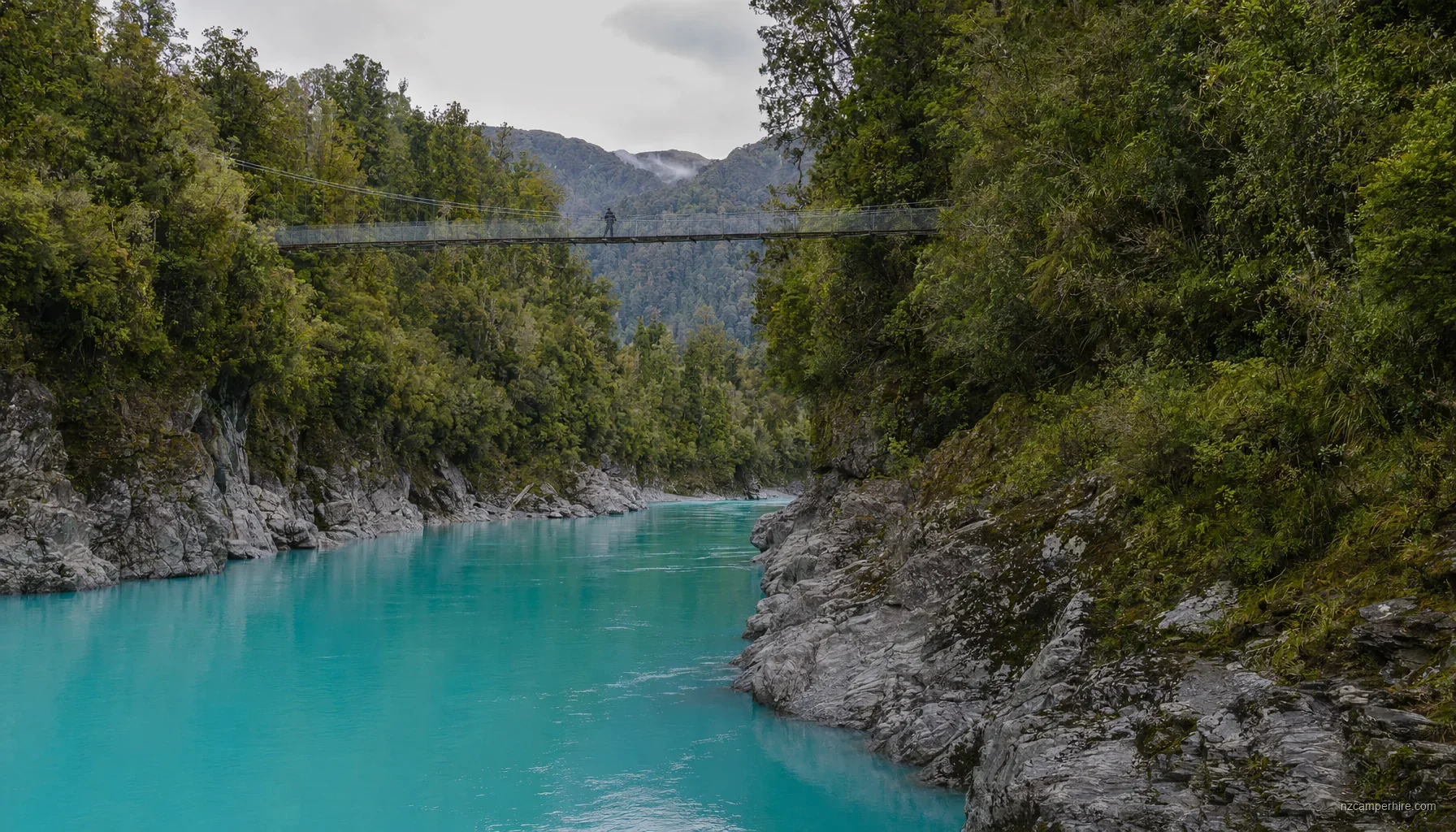 Hokitika Greenstone Glowworms in West Coast