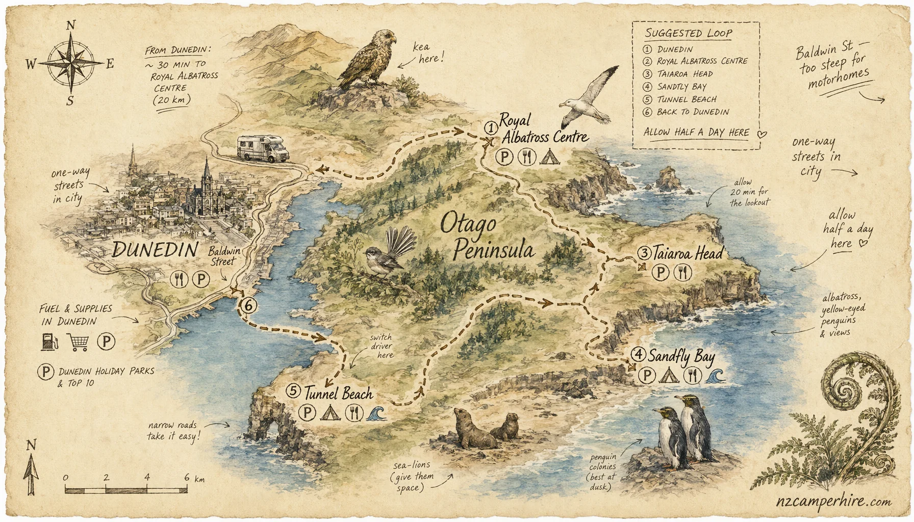 Hand-drawn map of otago peninsula wildlife in Dunedin