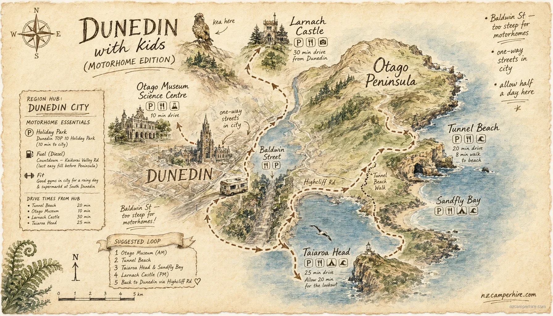 Hand-drawn map of with kids in Dunedin
